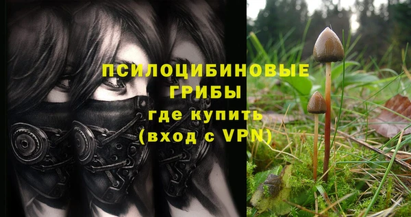 винт Горно-Алтайск