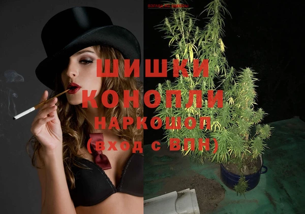 винт Горно-Алтайск
