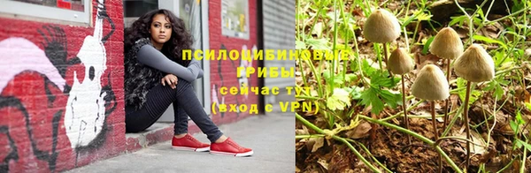 хмурый Горнозаводск