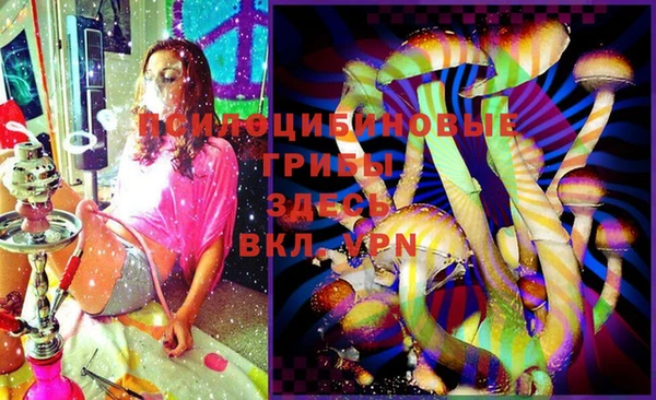 винт Горно-Алтайск